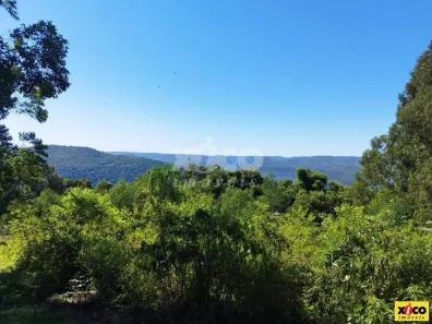Fazenda/Sítio com 1 Quarto à venda, 5000m² no , Picada Café