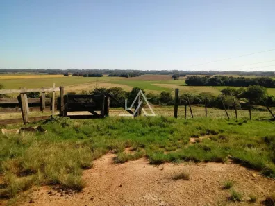 Fazenda/Sítio com 1 Quarto à venda, 19000m² no Dona Carlota, Santa Cruz do Sul