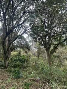 Lote/Terreno à venda, 1000m² no , Mairinque