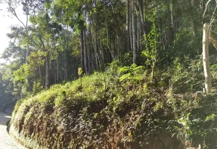 Lote/Terreno à venda, 1750m² no Parque do Imbui, Teresópolis