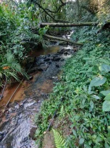 Fazenda/Sítio com 3 Quartos à venda, 80m² no , Camanducaia