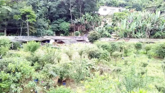 Fazenda/Sítio à venda, 2500m² no Horto Florestal, São Paulo