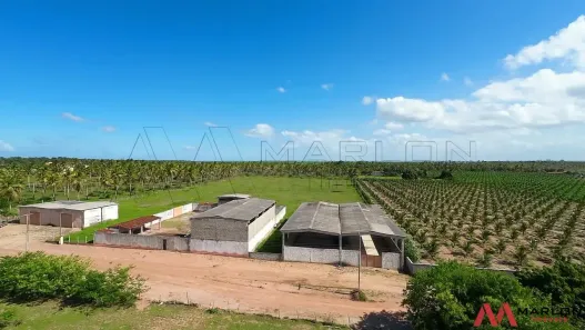 Prédio Residencial à venda, 20000m² no , São José de Mipibu