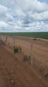 Fazenda/Sítio com 3 Quartos à venda, 6500m² no , Riachão das Neves