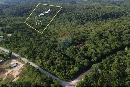 Lote/Terreno à venda, 75919m² no Monte das Oliveiras, Manaus