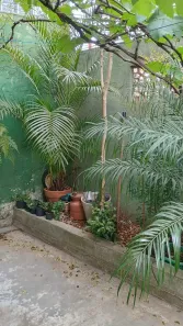Casa com 2 Quartos à venda, 140m² no Vila Constança, São Paulo