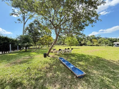 Fazenda/Sítio com 3 Quartos à venda, 351m² no Dona Francisca (Pirabeiraba), Joinville