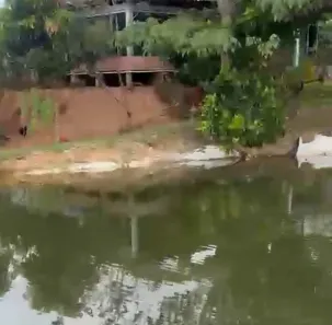 Fazenda/Sítio à venda, 9m² no , São Miguel do Passa Quatro