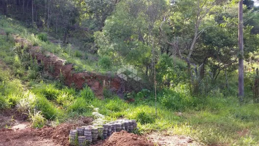 Lote/Terreno à venda, 1250m² no Boa Vista, Mairiporã