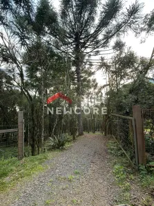 Fazenda/Sítio com 2 Quartos à venda, 20000m² no Centro, São Francisco de Paula