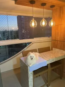 Apartamento com 3 Quartos à venda, 94m² no Alto da Glória, Goiânia