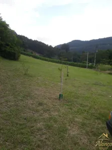 Lote/Terreno à venda, 11m² no , Nova Petrópolis