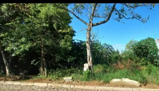 Lote/Terreno à venda, 403m² no Centenário, Sapiranga