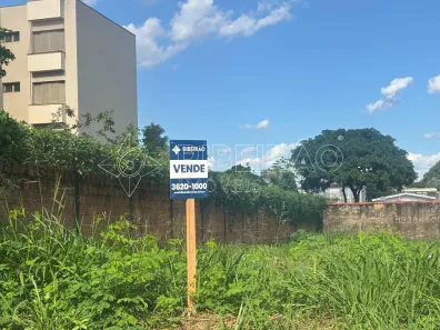 Fazenda/Sítio à venda, 484m² no Jardim Paulista, Ribeirão Preto