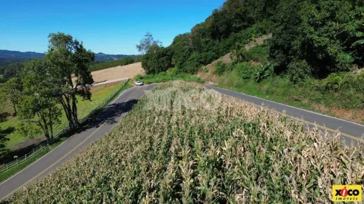 Fazenda/Sítio com 1 Quarto à venda, 1715m² no Dos Boêmios, Nova Petrópolis