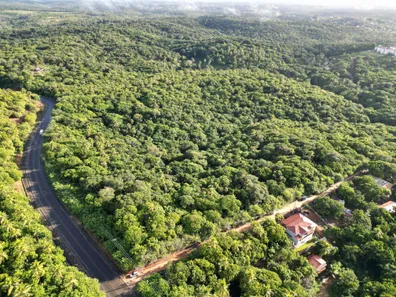 Lote/Terreno à venda, 135000m² no , Mata de São João