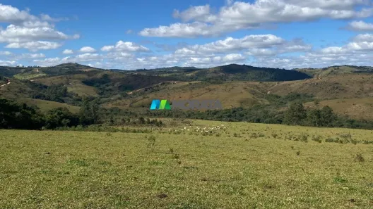 Fazenda/Sítio com 1 Quarto à venda, 157m² no , Resende Costa