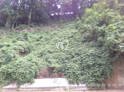 Lote/Terreno à venda, 1070m² no São Conrado, Rio de Janeiro
