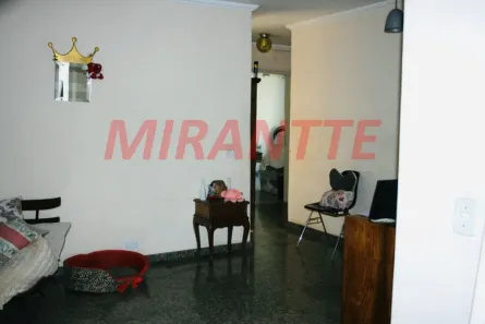 Casa com 3 Quartos à venda, 350m² no Vila Guilherme, São Paulo