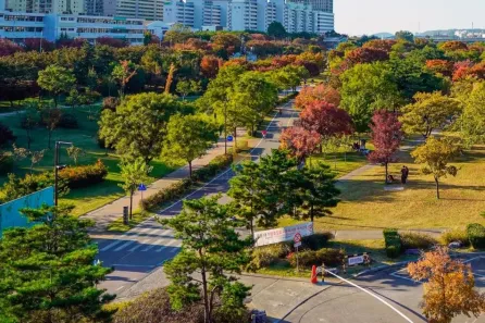 Lote/Terreno à venda, 250m² no Passagem da Conceição, Várzea Grande