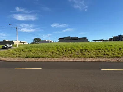Lote/Terreno à venda, 429m² no Jardim Vitagliano, São José do Rio Preto