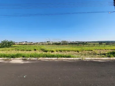 Lote/Terreno à venda, 220m² no Jardim Holambra, Cedral