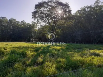 Fazenda/Sítio com 1 Quarto à venda, 5000m² no Zona Rural, Terenos