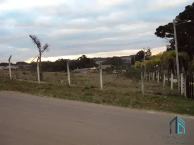 Lote/Terreno à venda, 35606m² no Centro, Campo Magro