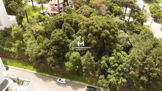 Lote/Terreno à venda, 1310m² no Petrópolis, Caxias do Sul