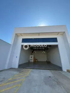 Galpão/Depósito/Armazém para alugar, 200m² no Luizote de Freitas, Uberlândia