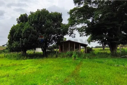 Fazenda/Sítio com 3 Quartos à venda, 300m² no , Araçoiaba da Serra