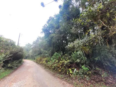 Lote/Terreno à venda, 6500m² no Recreio da Serra, Piraquara