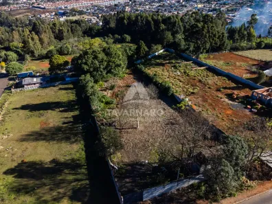 Lote/Terreno à venda, 2542m² no Cará-cará, Ponta Grossa