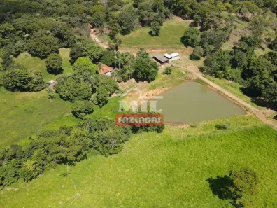 Fazenda/Sítio à venda, 484000m² no Área Rural de Bonfinópolis, Bonfinópolis