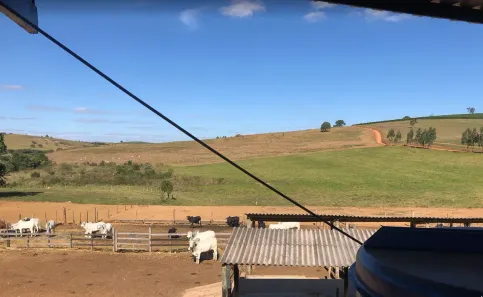 Fazenda/Sítio com 1 Quarto à venda, 220000m² no , Monsenhor Paulo