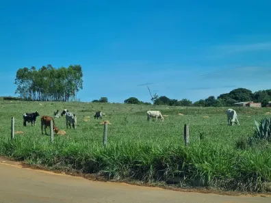 Fazenda/Sítio à venda, 220000m² no Paranoá, Brasília