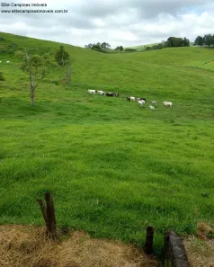 Fazenda/Sítio com 3 Quartos à venda, 10m² no Parque Florianópolis, Jaguariúna