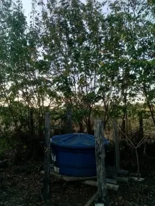 Fazenda/Sítio com 3 Quartos à venda, 110m² no , Cajuru