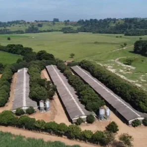 Fazenda/Sítio com 3 Quartos à venda, 150m² no Área Rural de Tatuí, Tatuí