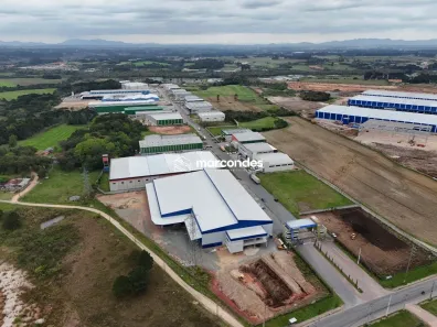 Galpão/Depósito/Armazém para alugar, 7000m² no Eucaliptos, Fazenda Rio Grande