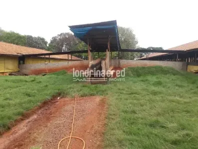 Fazenda/Sítio com 1 Quarto à venda, 10m² no Centro, Toledo