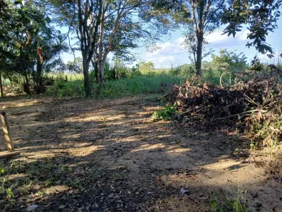 Fazenda/Sítio à venda, 5000m² no Residencial Paraíso, Senador Canedo