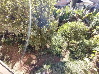 Casa com 3 Quartos à venda, 360m² no Catarcione, Nova Friburgo