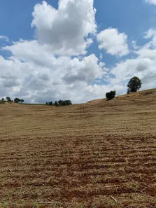 Lote/Terreno à venda, 26000m² no , Califórnia