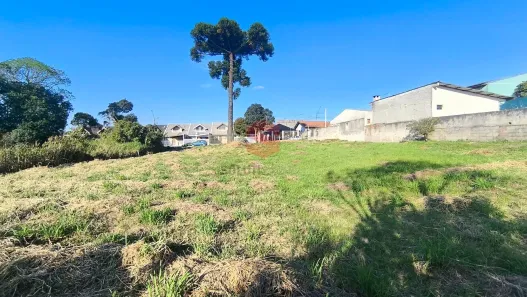 para alugar, 1500m² no Ouro Verde, Campo Largo