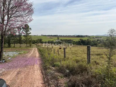 Lote/Terreno à venda, 23313m² no Campestre, Piracicaba