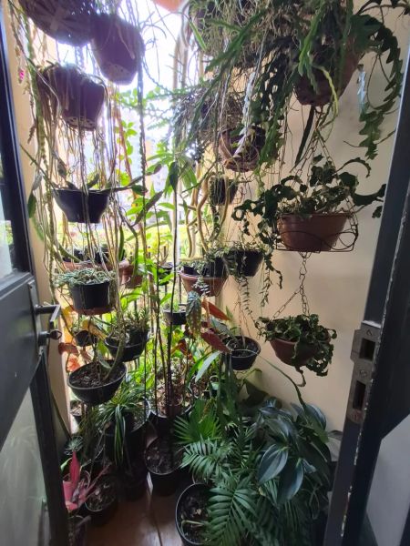 Foto 20