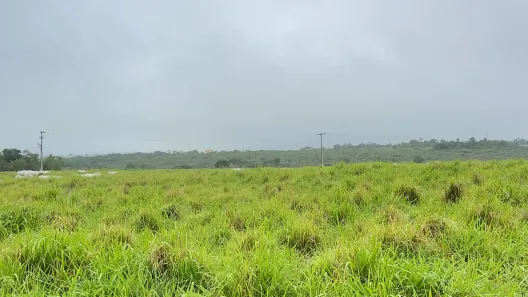 Fazenda/Sítio com 3 Quartos à venda, 135m² no , Coração de Maria