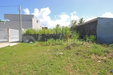 Lote/Terreno à venda, 290m² no Belmira Novaes, Peruíbe