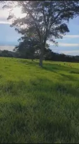 com 3 Quartos à venda, 159m² no Área Rural de Rondonópolis, Rondonópolis